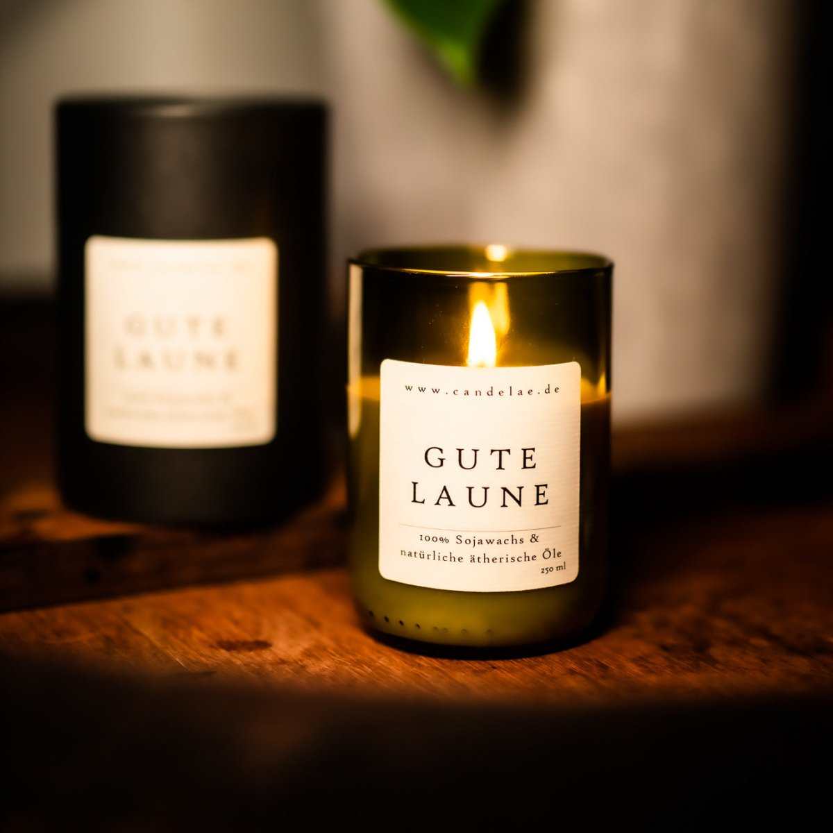 Gute Laune Duftkerze – Sojawachs Kerze mit frischen Zitrusnoten für positive Energie