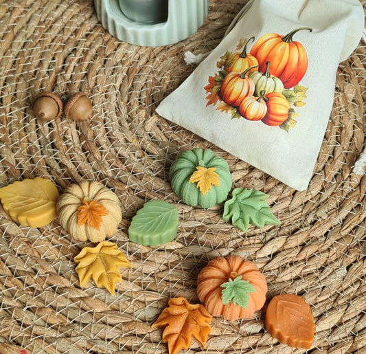 Herbstmix Wax Melts – Übersicht aller 9 Stück