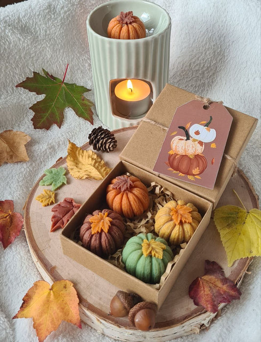 Die kleinen Wachswürfel mit großem Duftpotenzial