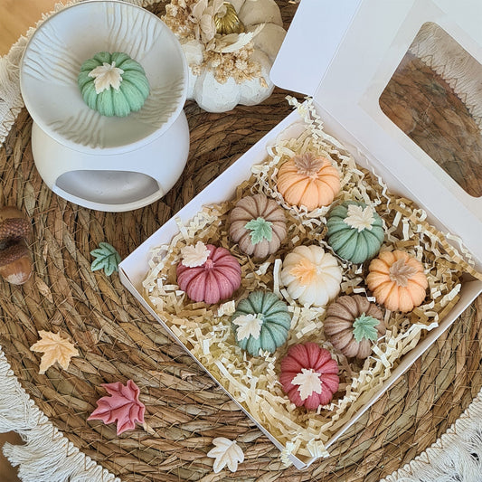 Handgemachte Herbstfreuden – Entdecke unsere einzigartigen Wax Melts in Pastelltönen und Kürbisform