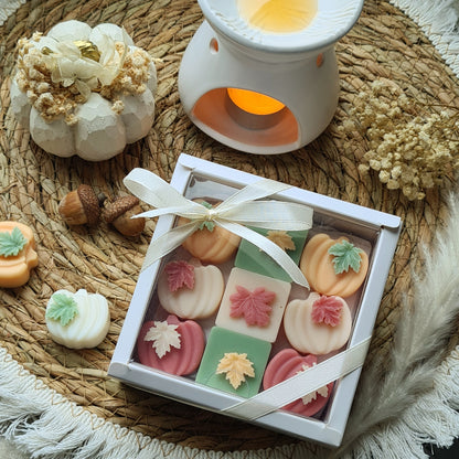 Zarte Mini Kürbisse – Handgemachte Wax Melts in Mini-Kürbisform