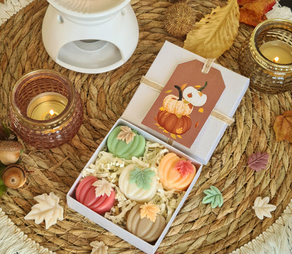 Zarte Mini Kürbisse – Handgemachte Wax Melts in Mini-Kürbisform