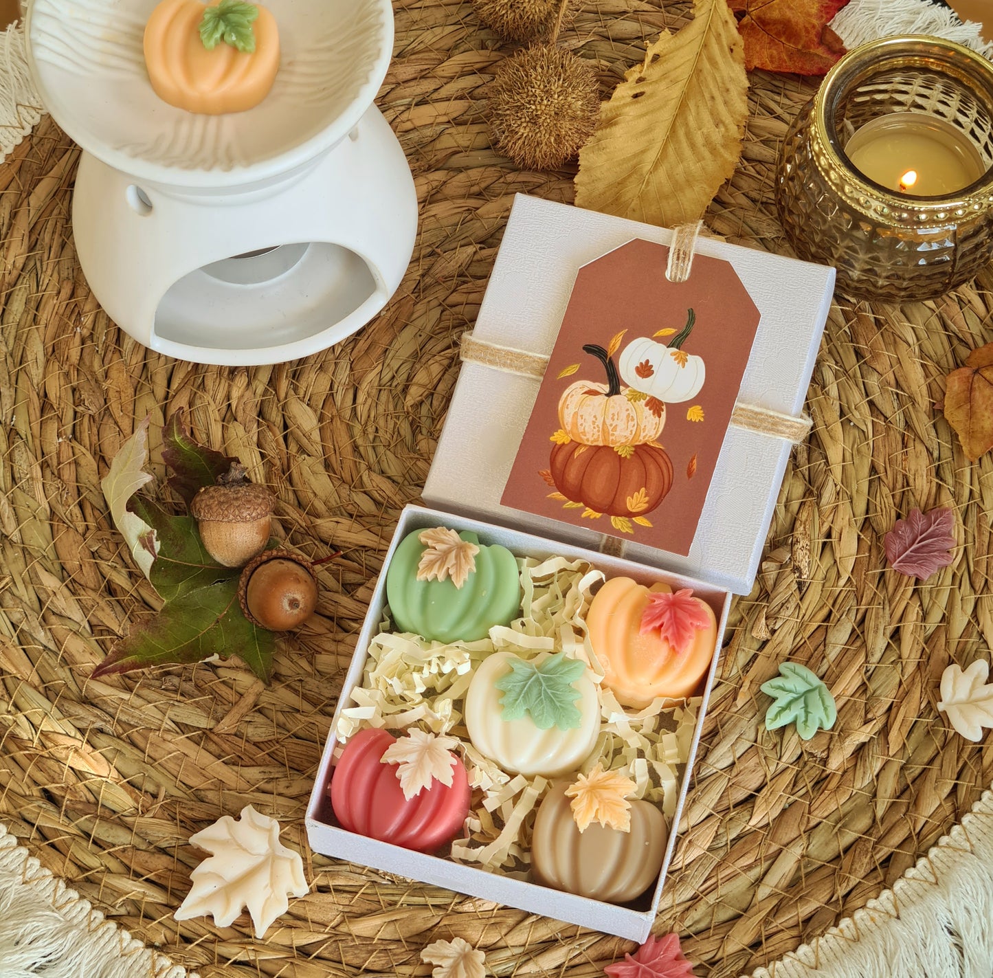 Zarte Mini Kürbisse – Handgemachte Wax Melts in Mini-Kürbisform