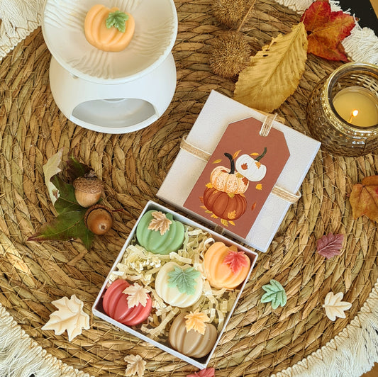 Zarte Mini Kürbisse – Handgemachte Wax Melts in Mini-Kürbisform