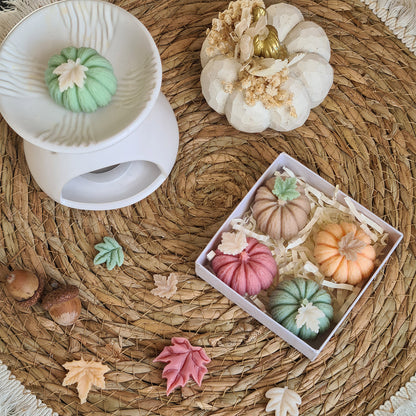 Herbstliche Deko mit sanften Kürbis-Wax Melts