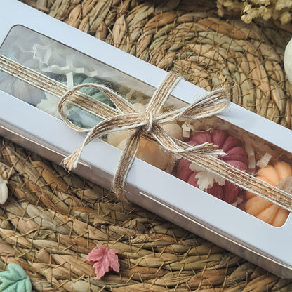 Sanfte Kürbisse – Handgemachte Wax Melts in Pastelltönen