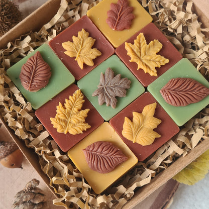 Detailaufnahme der farbintensiven Blattform Wax Melts