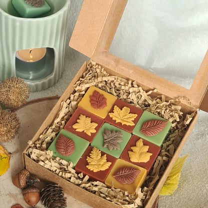 Herbsthauch Wax Melts aus 100 % Sojawachs