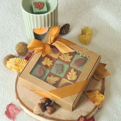 Handgemachte Wax Melts in Blattform – Herbstkollektion