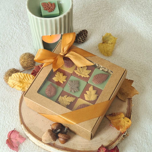 Handgemachte Wax Melts in Blattform – Herbstkollektion