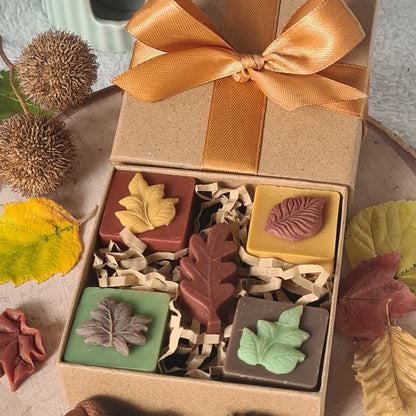 Herbstliche Geschenkidee – Wax Melts im Set