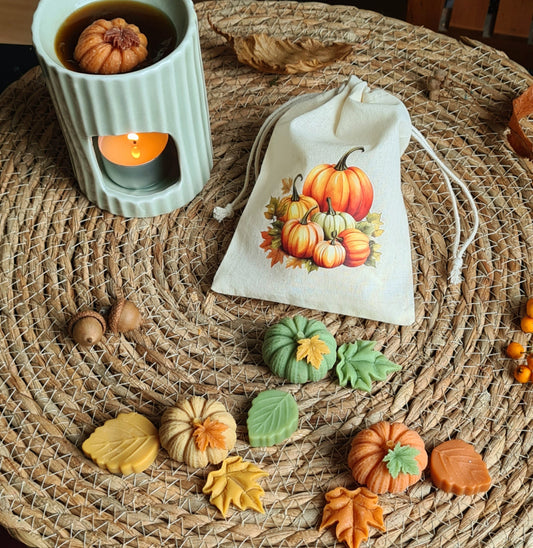 Handgemachte Wax Melts in Kürbis- & Blattform, dekorativ im Baumwollbeutel