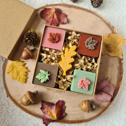 Herbstzauber Wax Melts – Blätter in sanften Farbtönen