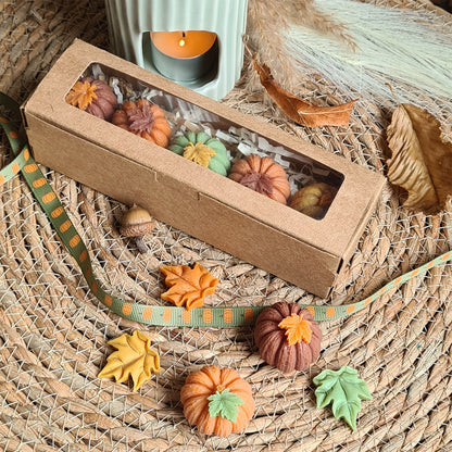 Dekorative Kürbis Wax Melts für Tisch und Regal