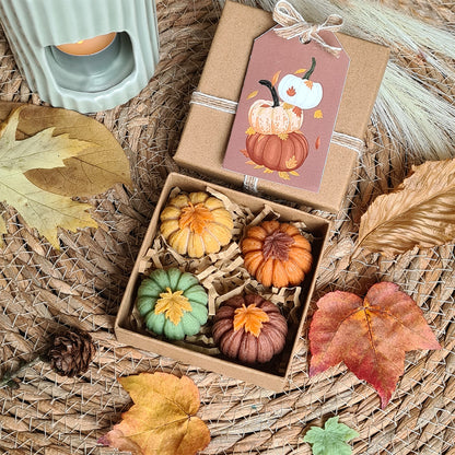 Handgefertigte Kürbis Wax Melts – Nahaufnahme der Details