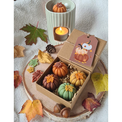 Handgemachte Kürbis Wax Melts – Herbstliche Dekoration für Zuhause