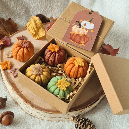 Pastellrosa Kürbis Wax Melt – Herbstliche Stimmung