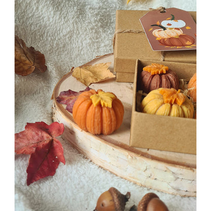 Pastellorange Kürbis Wax Melt – Handgemacht und dekorativ