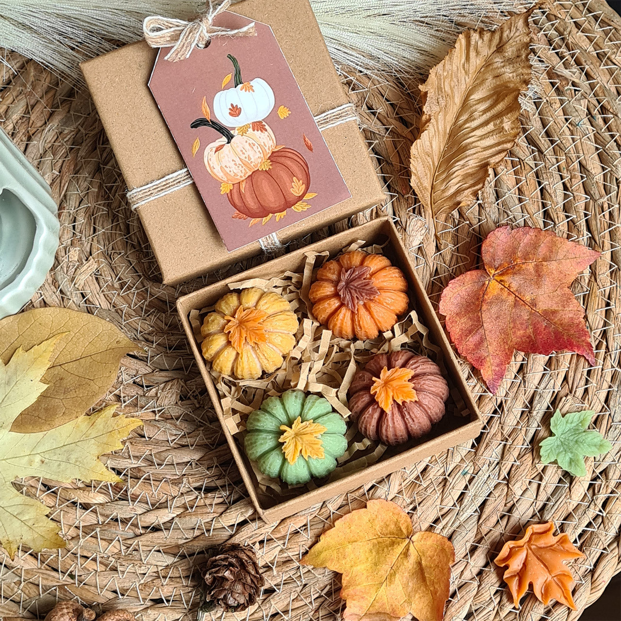 Set aus verschiedenen Farben der Kürbis Wax Melts
