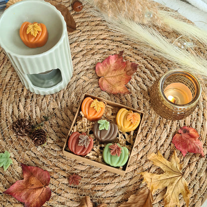 Duftkerze Kürbiszauber – natürliche Dekoration für Zuhause