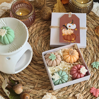 Sanfte Kürbisse – Handgemachte Wax Melts in Pastelltönen in Geschenkbox