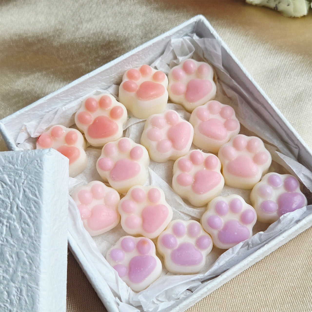 Powder Paws Wax Melts in sanften Pastellfarben