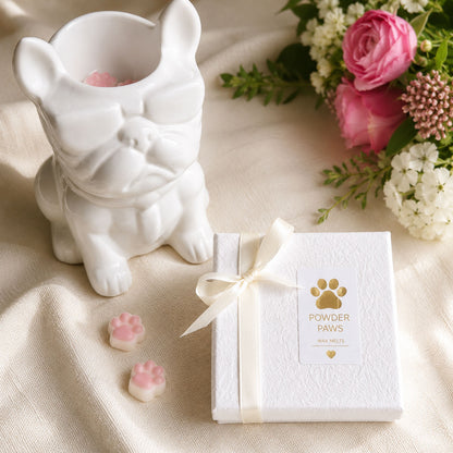 Handgegossene Pastell Wax Melts mit Duftlampe