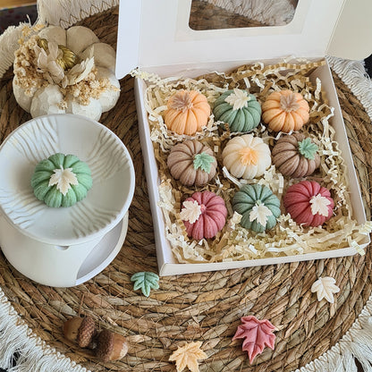 Herbstliche Deko mit sanften Kürbis-Wax Melts