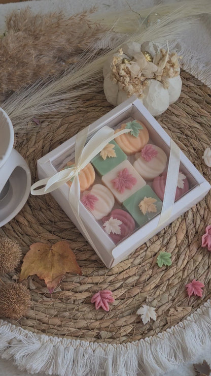 Zarte Mini Kürbisse – Handgemachte Wax Melts in Mini-Kürbisform