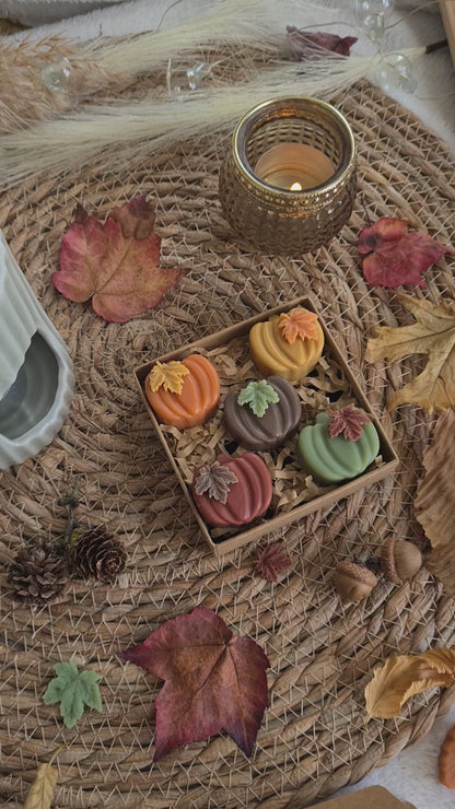 Kürbiszauber – Handgemachte Wachsmelts in Mini-Kürbisform