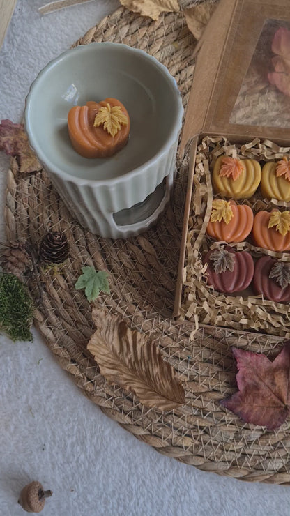 Kürbiszauber – Handgemachte Wachsmelts in Mini-Kürbisform