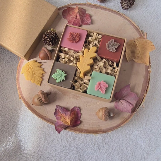 Handgemachte Wax Melts – Blattformen auf Holztisch dekoriert