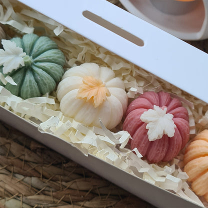 Handgemachte Duftwachse – Sanfte Kürbisse in Box