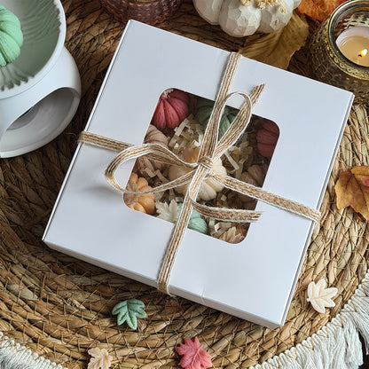 Sanfte Kürbisse – Handgemachte Wax Melts in Pastelltönen in Geschenkbox