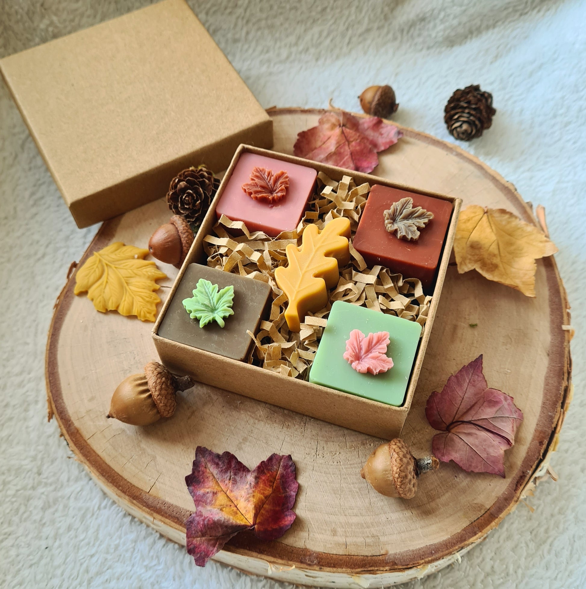 Sojawachs Wax Melts in Blattform – Herbstkollektion